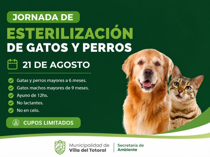 La Municipalidad de Villa del Totoral informa que el viernes 21 de agosto se llevará adelante una nueva jornada de esterilización de perros y gatos.
